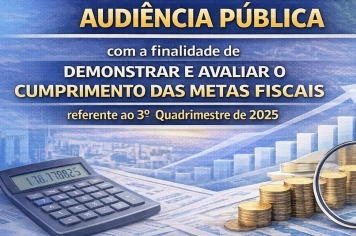 AUDIÊNCIA PUBLICA